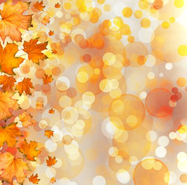 bokeh arka planda sonbahar yaprakları