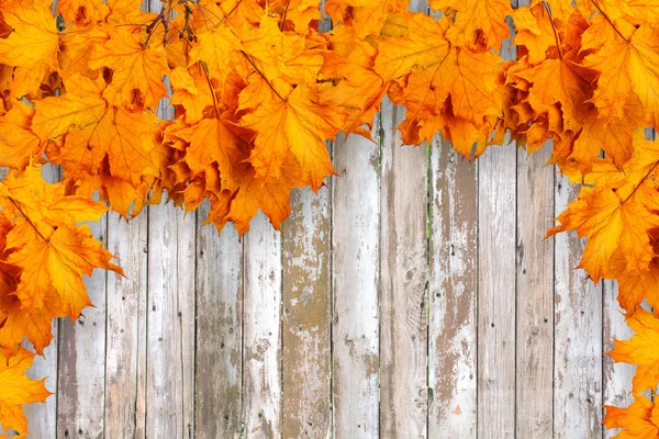 Feuilles d'automne sur une vieille clôture en bois — Photo