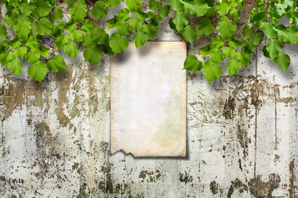Old paper ad on ruined stone wall — Stock Photo, Image