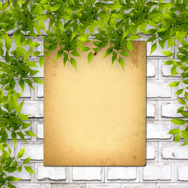 Old paper listing on white brick wall with bright green foliage — Stock Photo, Image