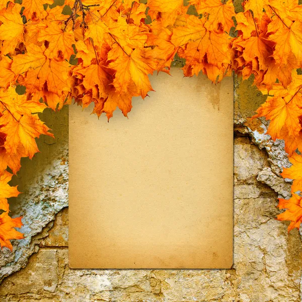 Alte Papierauflistung an alter Ziegelwand mit leuchtend orangefarbenem Herbst le — Stockfoto