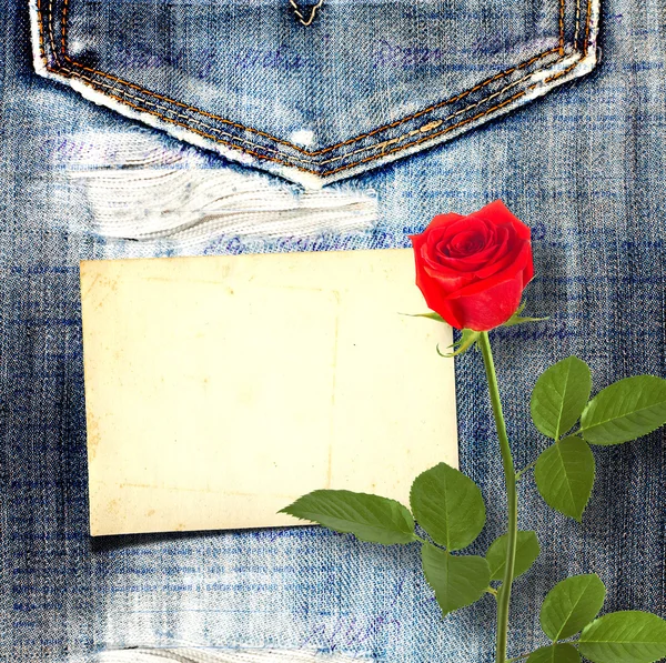 Old vintage postcard with beautiful red rose on blue jeans backg — Stock Photo, Image