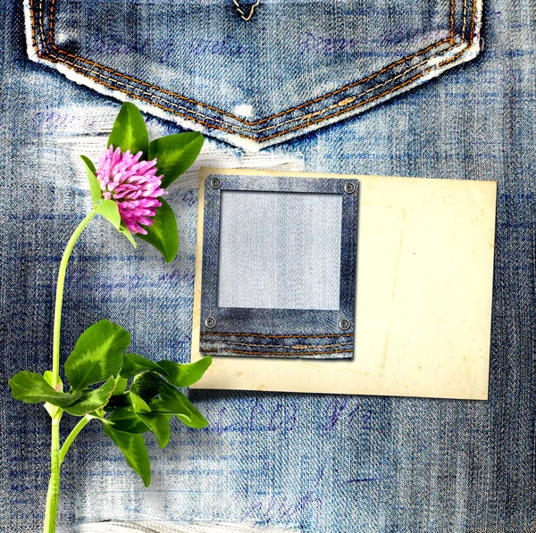 Oude vintage ansichtkaart met mooie roze klaver op blue jeans ba — Stockfoto