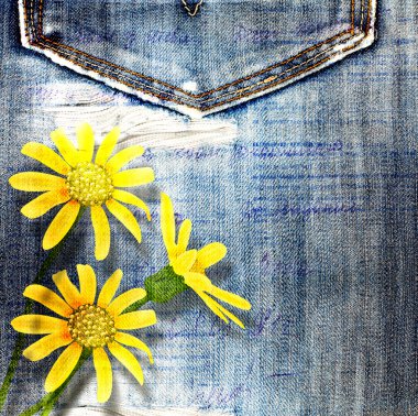 Beautiful yellow flowers on blue background old jeans clipart