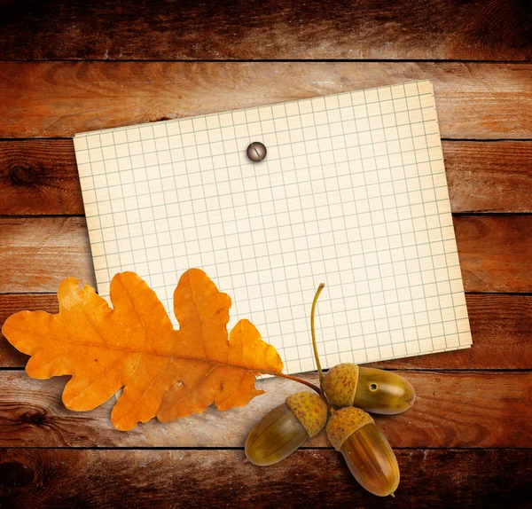 Oud grunge papier met herfst eiken bladeren en eikels op de houten — Stockfoto