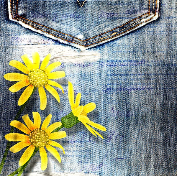 Beautiful yellow flowers on blue background old jeans — Stock Photo, Image