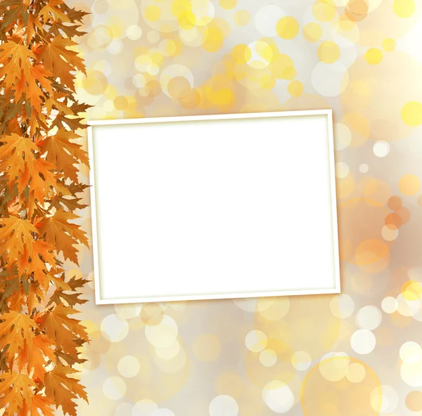 Oranje herfst tak van de boom op abstracte achtergrond met boke — Stockfoto