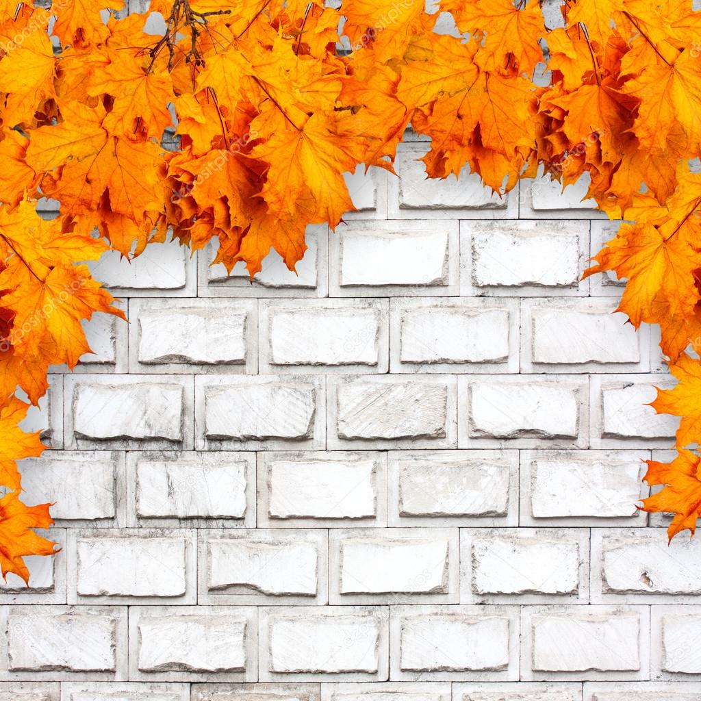 Bright orange autumn leaves on the background of an old brick wa