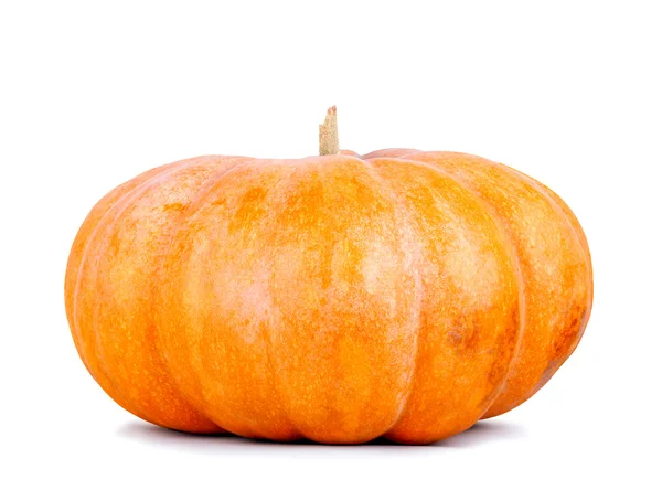 Grande zucca gialla su uno sfondo bianco isolato — Foto Stock