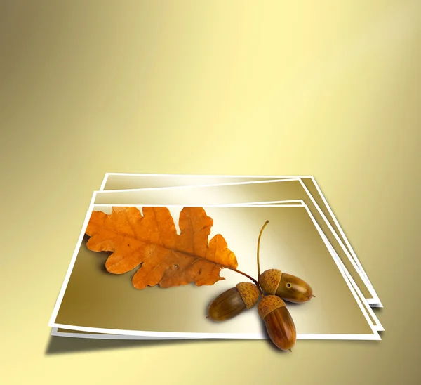 Φθινόπωρο δρύινα υποκατάστημα με βελανίδια σε αφηρημένη χρυσό φόντο. concE — Φωτογραφία Αρχείου