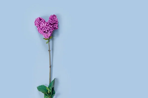 발렌타인데이 배경에 라일락 꽃다발 상징적 — 스톡 사진