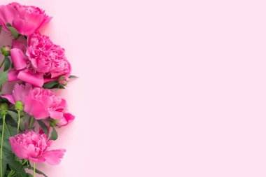 Bir buket pembe şakayık ve narin kağıt kaplama. En küçük konsept arkaplanı. 