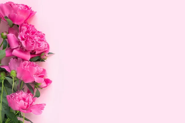 一束美丽的粉色牡丹在精致的纸张背景上 最低限度概念背景 — 图库照片