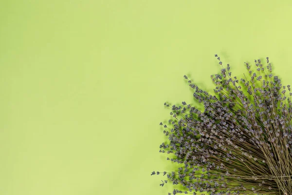 緑の紙の背景に乾いた紫色の香りのラベンダーの枝 フラットレイアウト トップビュー コピースペースコンセプト — ストック写真