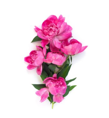 Beyaz arka planda yalıtılmış şakayık çiçeği seti. Çiçek koy. Kutlamalar ve davetiyeler için kartpostal.