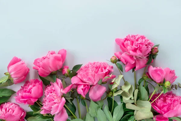 Ramo Hermosas Peonías Rosadas Sobre Delicado Fondo Papel Concepto Mínimo — Foto de Stock