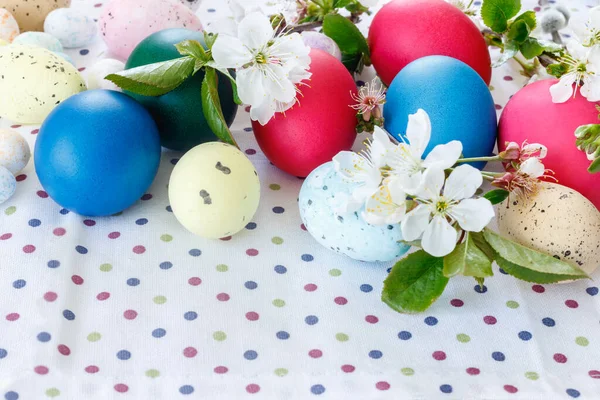 Prachtige Paaskaart Met Kleurrijke Eieren Kersentakken Papieren Roze Achtergrond Bloemen — Stockfoto