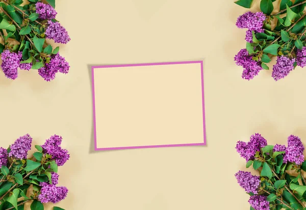 紫丁香在现代风格的米色纸背景 海报设计 创意布局 — 图库照片