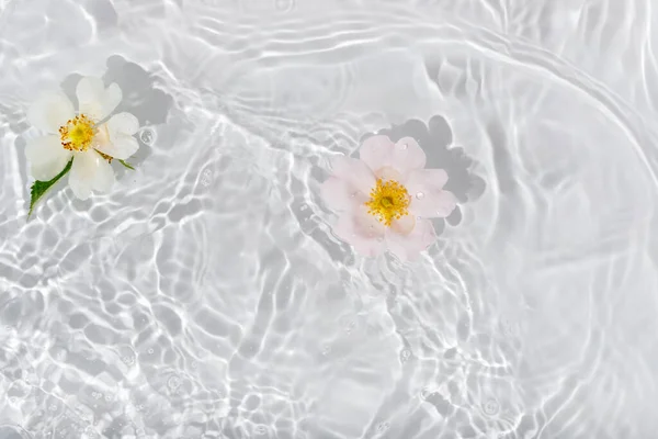 Tarjeta Felicitación Con Hermosos Pétalos Rosa Macro Con Gota Flotando —  Fotos de Stock