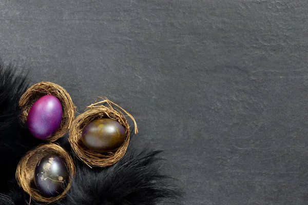 Black Fur Nest Painted Eggs Festive Easter Banner Branches Concept — Stock Photo, Image