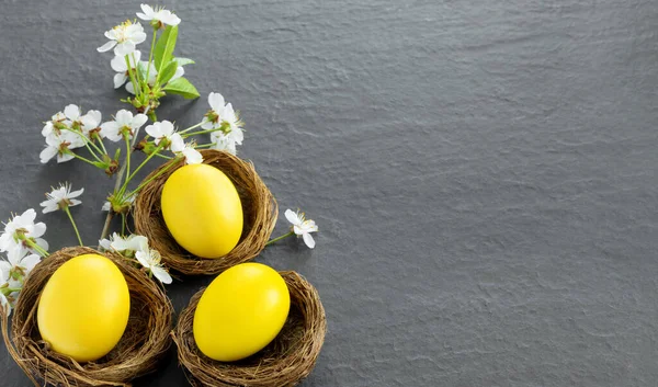 Ninhos Frango Com Ovos Páscoa Amarelos Pintados Mesa Escura Cartão — Fotografia de Stock