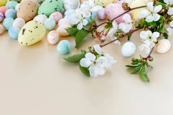Hermosa Tarjeta Pascua Con Huevos Colores Ramas Cereza Sobre Fondo —  Fotos de Stock