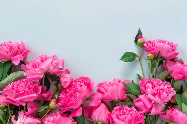 繊細な紙の背景に美しいピンクの牡丹の花束 ミニマルなコンセプトブルーの背景 — ストック写真