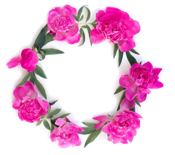 Rund Krans Vackra Rosa Pioner Vit Isolerad Bakgrund Kreativ Blomsterkrans — Stockfoto