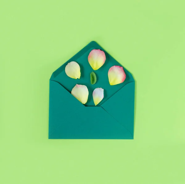 Bladeren Van Geel Een Roze Rozen Envelop Groene Achtergrond Minimalistisch — Stockfoto