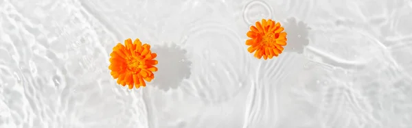 Prachtige Goudsbloemblaadjes Macro Met Druppel Drijvend Het Wateroppervlak Van Dichtbij — Stockfoto