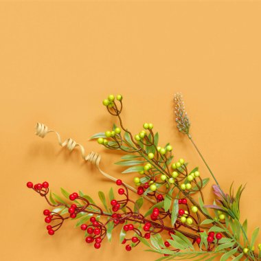 Autumn oak and rowan branches with red berries on orange background
