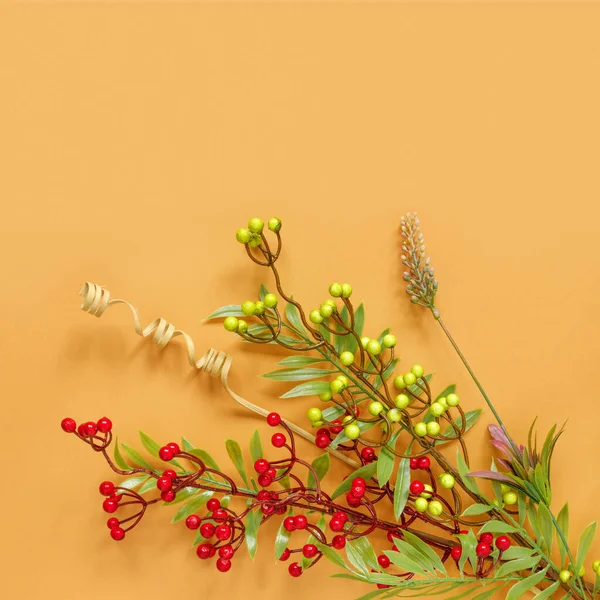 Осенние Ветви Дуба Рябины Красными Ягодами Оранжевом Фоне — стоковое фото