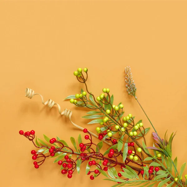 Autumn Oak Rowan Branches Red Berries Orange Background — Zdjęcie stockowe