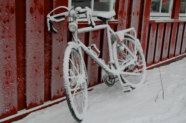 雪の中で自転車 — ストック写真