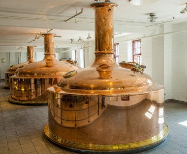 Carlsberg bira içecek