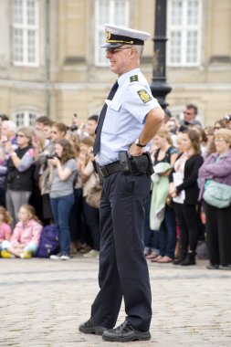 swedih polis