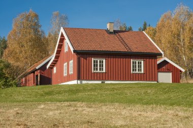 Norveçli bir ahşap ev