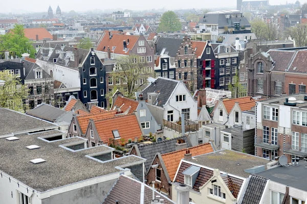 The roofs of Amsterdam — Stock Photo, Image