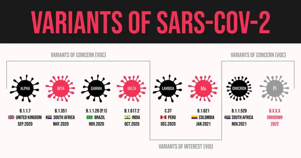 Coronavirus Variants of SARS-CoV-2 WHO names from the Greek alphabet alpha, beta gamma, delta, lambda mu and omicron mutation. flags of the countries where they were first found COVID-19 — Stock Vector