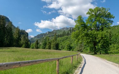 Tatra Ulusal Parkı, Strazyska Vadisi manzarası.