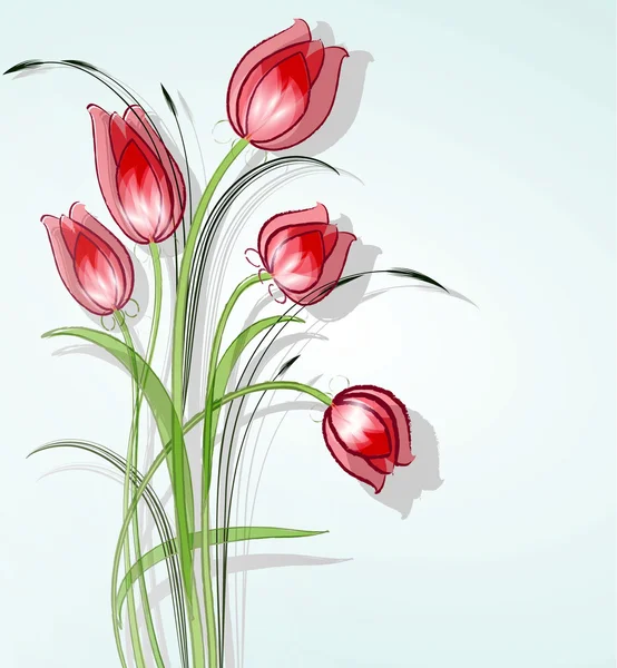 Delicate tulip — Stock Vector