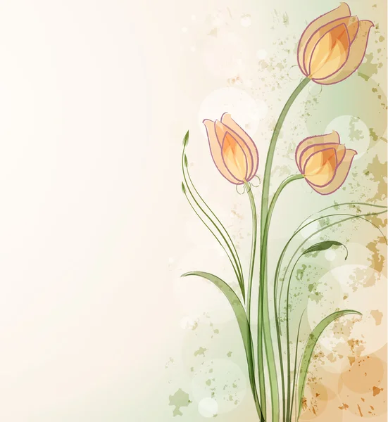 Delicate tulip — Stock Vector