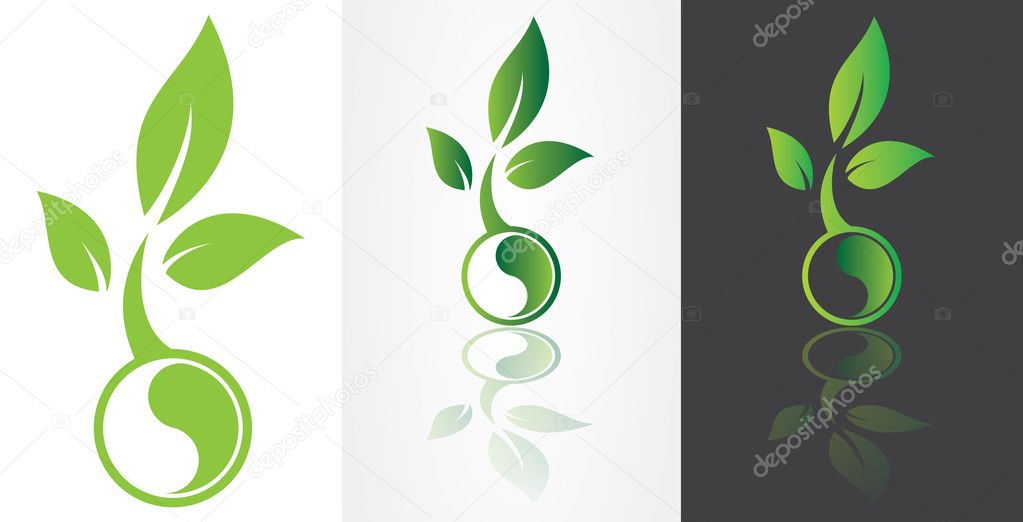 ying yang symbolism with green leaf