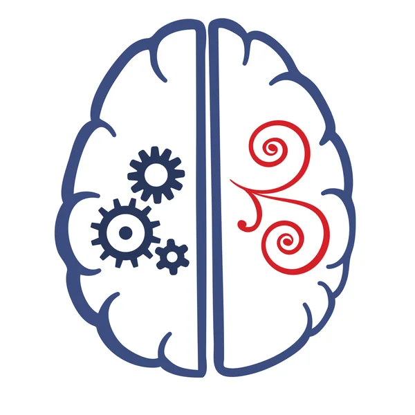 Dos partes del cerebro humano — Vector de stock