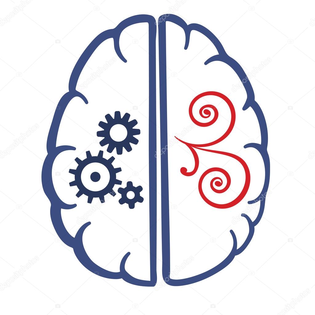 two parts of human brain