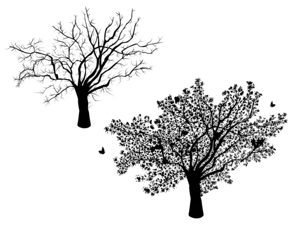 Ensomt træ - sæt vinter og sommer – Stock-vektor