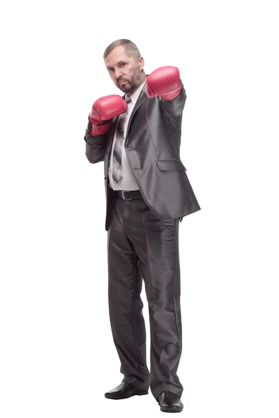 Επιχειρηματίας με γάντια πυγμαχίας. απομονωμένο σε λευκό φόντο. — Φωτογραφία Αρχείου
