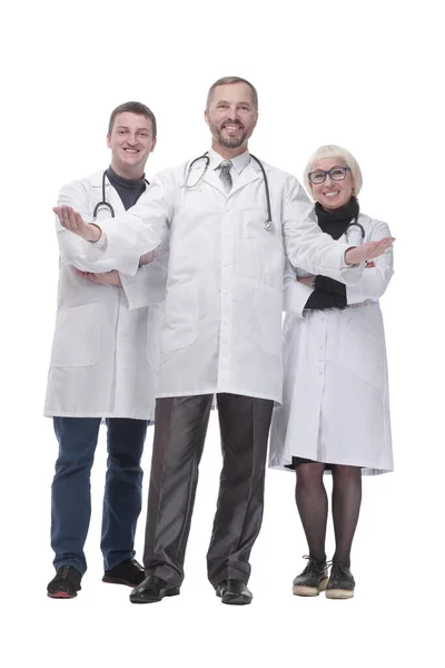 In full growth. group of qualified medical colleagues. — Stockfoto