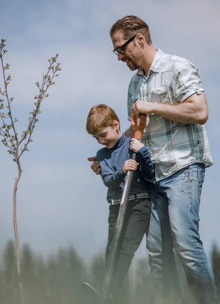 Vader en zoontje geplant een zaailing. — Stockfoto