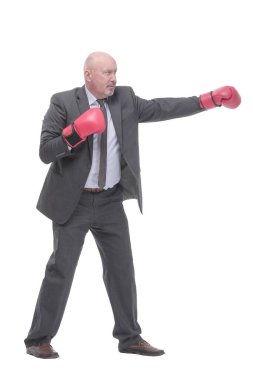 businessman in Boxing gloves. isolated on a white background.